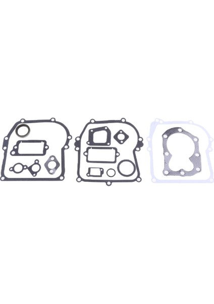 590777 Fit 794209 699933 298989 Motor Için Motor Conta Seti (Yurt Dışından)