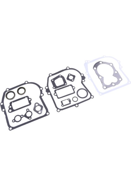 590777 Fit 794209 699933 298989 Motor Için Motor Conta Seti (Yurt Dışından) modelleri