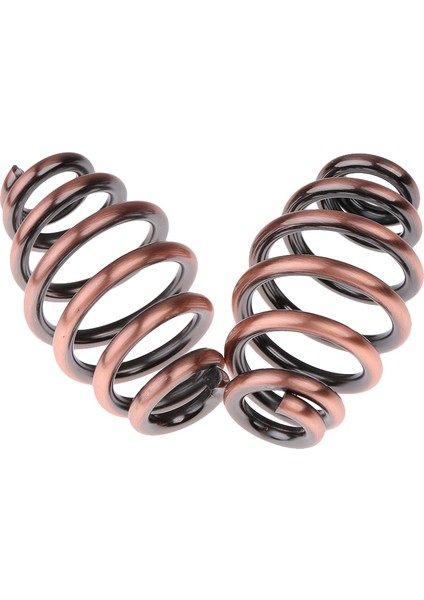 2 Adet Motosiklet 3" Varil Sarılmış Koltuk Yayları Bronz Için (Yurt Dışından)