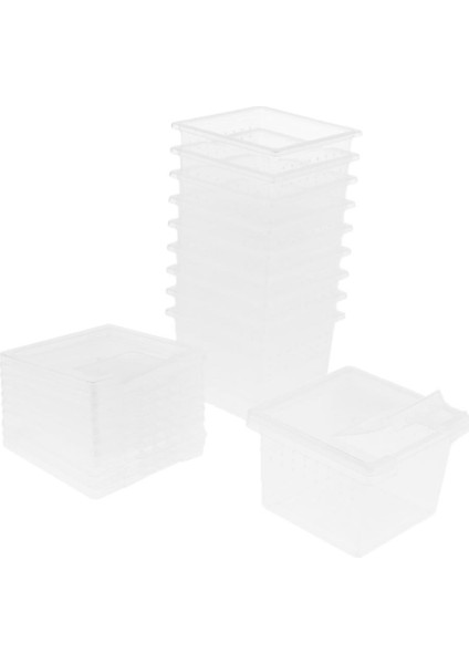 10 Adet Sürüngenler Amfibi Habitat Teraryum Vivarium Tank Üreme Kutusu (Yurt Dışından)