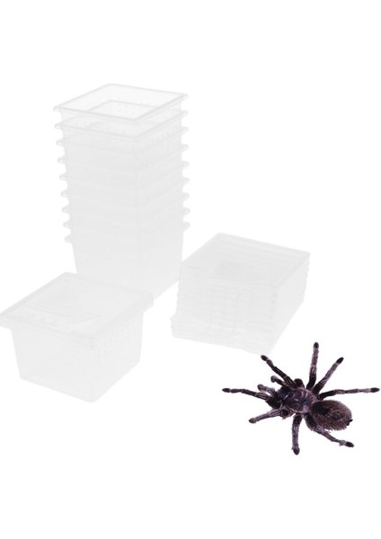 10 Adet Sürüngenler Amfibi Habitat Teraryum Vivarium Tank Üreme Kutusu (Yurt Dışından) fırsatları