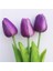 100 Adet Mor Renk Lale Çiçeği Tohumu + 10 Adet Hollanda Gülü Çiçek Tohumu 1
