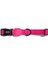 Pink LED Boyun Tasması - L 1