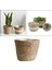Bahçe Seagrass Bitki Sepeti Depolama Astar Ekici Tencere Saksı Organizatör 22X15X14CM Orta (Yurt Dışından) 3