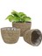 Bahçe Seagrass Bitki Sepeti Depolama Astar Ekici Tencere Saksı Organizatör 22X15X14CM Orta (Yurt Dışından) 4