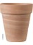 Vaso Alto Duo White-Striped Saksı 1