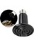 Sürüngen Isıtma Lambası 220V Seramik Sürüngen Isıtıcı 25W 200W Işık Yok 150W (Yurt Dışından) 5