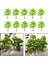 10 Pcs Dıy Manzara Ağacı Demiryolu Tren Bahçe Ağaçları Diorama 8.5cm (Yurt Dışından) 4