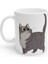 Gri Kedi Grey Cat Kupa Bardak Mug 1