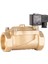 220V AC Buhar Normalde Kapalı Solenoid Valf (0,5-6 BAR) 2