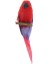 Dollhouse Minyatür Parrot 2 Pcs (Yurt Dışından) 1