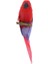 Dollhouse Minyatür Parrot 2 Pcs (Yurt Dışından) 5