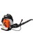 EB-985 Yaprak Üfleme Makinesi - 5 Hp 2