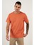 Pamuklu Slim Fit Bisiklet Yaka T Shirt Erkek T Shirt 59020001 2