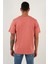 Pamuklu Slim Fit Bisiklet Yaka T Shirt Erkek T Shirt 59020001 5