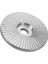 1 Lot Karbür Ahşap Zımpara Oyma Şekillendirme Disk Aleti Açılı Öğütücü 100 mm Için (Yurt Dışından) 5
