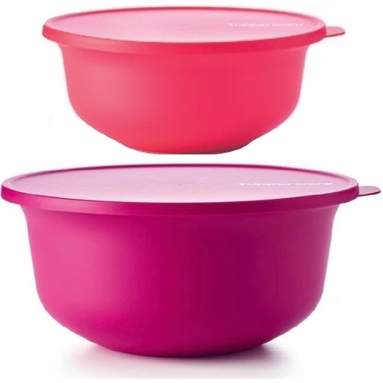 Tupperware Aloha 2'li Set 2lt-4lt Saklama Servis Kabı Fiyatı