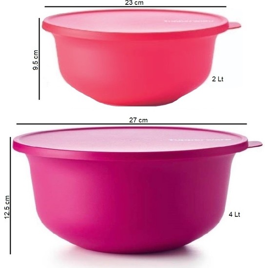 Tupperware Aloha 2'li Set 2lt-4lt Saklama Servis Kabı Fiyatı