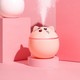  Renk Pembe