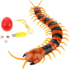 Flower World Cadılar Bayramı Electric Rc Cıctıon Uzaktan Kumanda Makinesi Kırkayak Gadgets (Yurt Dışından)