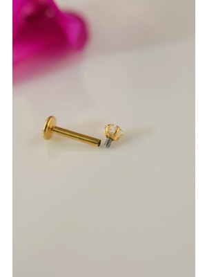 Sacce Scarves&Accessories Gold Çelik Yıldız Piercing 8 mm Tragus Helix Kıkırdak Conch