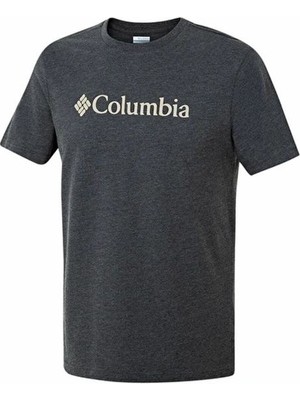 Columbia Csc M Basıc Bıg Logo Brushed Ss Tee Erkek Tişört Gri CS0287-012