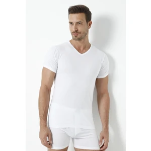 3'lü  V Yaka Fanila