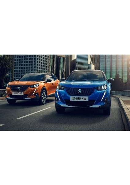 2020 Peugeot 2008 Bagaj Havuzu Tam Uyumlu Kauçuk modelleri
