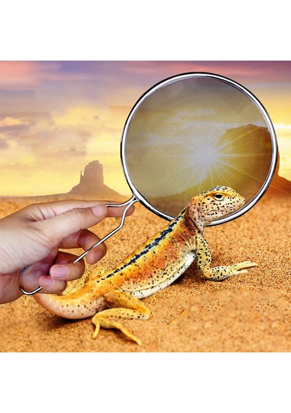 Pet Kedi Kumu Temizlik Sift Aracı Yavru Yemek Seçici Sifter 140X270MM (Yurt Dışından) modelleri