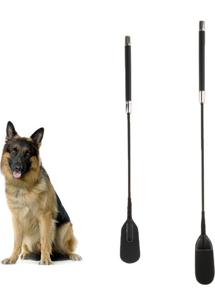 B Baosity Köpek Köpek Eğitimi Interaktif Oyuncak 45CM 45CM (Yurt Dışından)