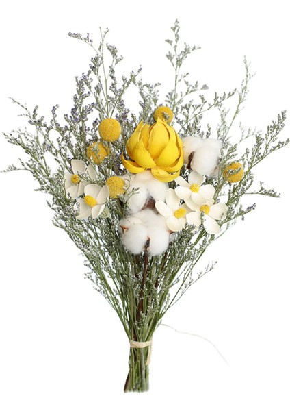 Doğal Kurutulmuş Çiçekler Gerçek Mum Yapma Reçine Daisy (Yurt Dışından)