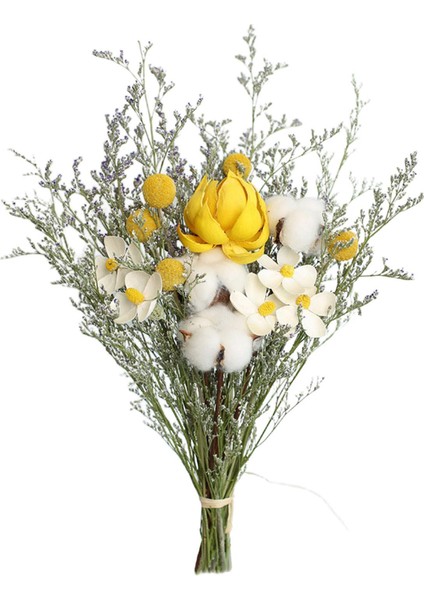 Doğal Kurutulmuş Çiçekler Gerçek Mum Yapma Reçine Daisy (Yurt Dışından)