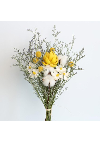 Doğal Kurutulmuş Çiçekler Gerçek Mum Yapma Reçine Daisy (Yurt Dışından)