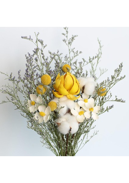 Doğal Kurutulmuş Çiçekler Gerçek Mum Yapma Reçine Daisy (Yurt Dışından)