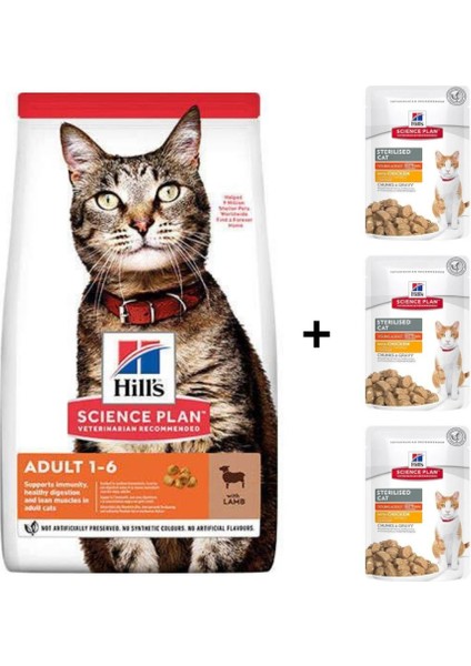 Lamb Kuzu Etli Yetişkin Kedi Maması 3 kg + 3 Adet Yaş Mama