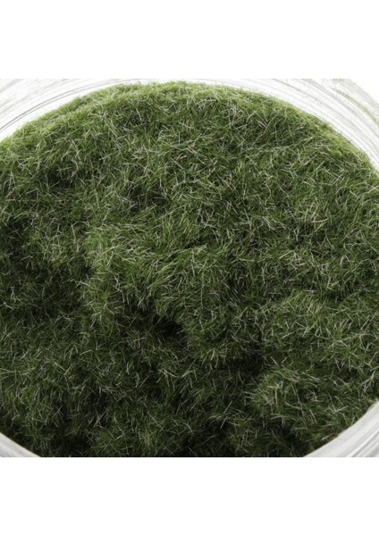 Model Bitki Örtüsü Sahte Çim Bahçe Kum Masası Peyzaj 260ML A(Yurt Dışından)