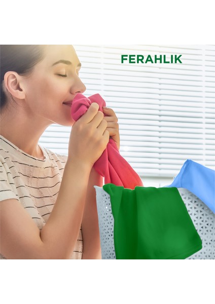 12 kg Toz Çamaşır Deterjanı Dağ Esintisi Renkliler İçin