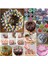 Rus Boru Ipuçları Dıy Boru Ipuçları Set Kek Dekorasyon Malzemeleri İçin Cupcake 7 Adet (Yurt Dışından) 5
