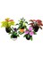 5pcs Strum Pot Plant Bebek Evi Minyatür Aksesuarları 1:30 (Yurt Dışından) 3