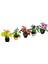 5pcs Strum Pot Plant Bebek Evi Minyatür Aksesuarları 1:30 (Yurt Dışından) 5