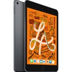 Apple iPad Mini 256GB 7.9 Wi-Fi Retina Tablet - Uzay Grisi Fiyatı