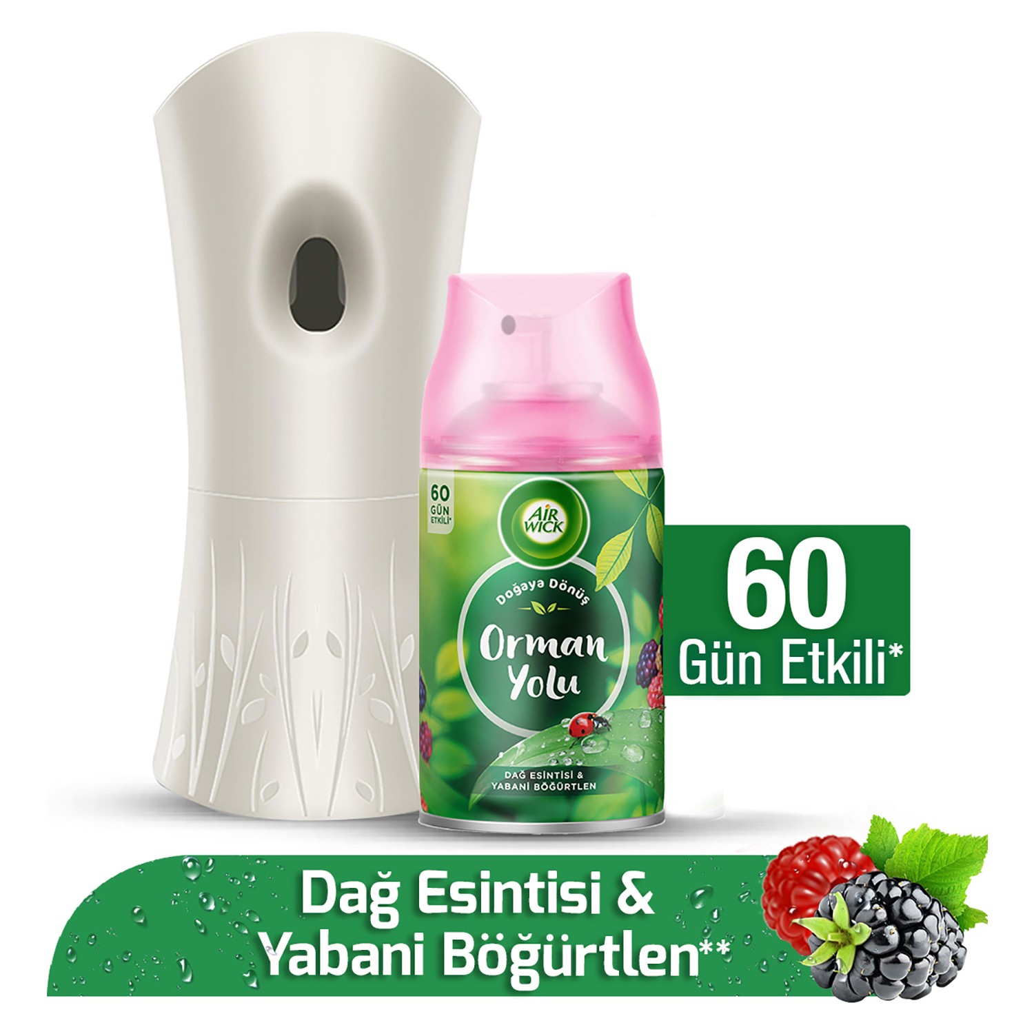 Air Wick Oda Kokusu Freshmatic Kit Orman Yolu Fiyatı