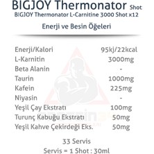 Bigjoy Thermonator L-Carnitin 3000 Mg 12 Ampül Thermo Karnitine