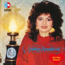 Gülden Karaböcek - Öyle Yalnız Kaldım Ki (Plak)