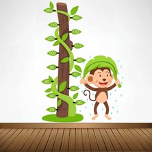 Kt Decoration Sarmışklar ve Sevimli Maymun Boy Ölçer Duvar Sticker