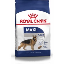 Royal Canin Maxi Adult Büyük Irk Yetişkin Köpek Maması 15kg