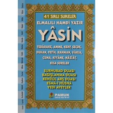 41 Sırlı Sureler Yasin (Kod: 206)