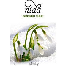 Nida