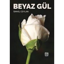 Beyaz Gül