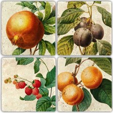 Oscar Stone Doğaltaş Bardak Altlığı - 4'lü Set 10 x 10 cm